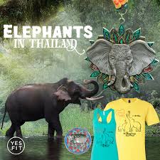 Elephants In Thailand Digital Race In 2020 Thailand Elephants Elephant Nature Park Elephant