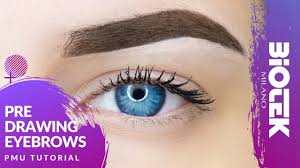 Kit avancé avec tout le nécessaire pour environ 10 traitements.comprend:• 5 couleurs (honey blond, ash blond, light brown, medium • 2 crayons biotek ( skin # 103 + smoked brown # 108) • 2 latex. Natural Lips Permanent Make Up Tutorial Biotek Permanent Makeup Youtube