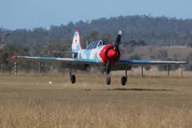 Interview with Ian Eccles