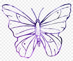 Download pink butterfly images and photos. Butterfly Purple Outline Clipart Cute Flying Transparent Background Butterfly Outline Clipart Png Download 5889972 Pikpng