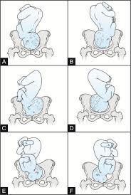Image result for Face Presentation