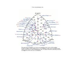 Famous Somatotypes Chart 1 Political Science Chart