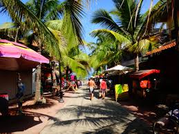 Check spelling or type a new query. Sayulita Nayarit Mexico October 2015 Dream Commit Succeed