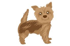 Download Short Cut Yorkshire Terrier Svg Cut File By Creative Fabrica Crafts Creative Fabrica PSD Mockup Templates