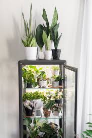 We did not find results for: How To Hack An Ikea Glass Cabinet To Make A Greenhouse