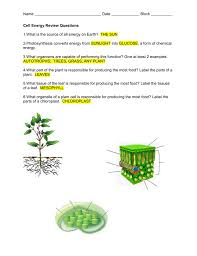 Previous to referring to cellular respiration breaking down energy worksheet, you should know that education and learning will be your answer to a. Cell Energy Worksheet Answers Promotiontablecovers