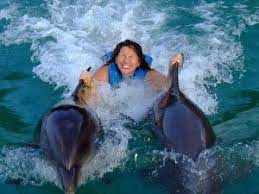 Dolphin S Cove In Ocho Rios Jamaica Things To Do In Jamaica Ocho Rios Jamaica Ocho Rios Attractions In Jamaica