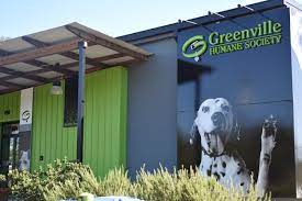 2020 was a year like no other, which is why your support of the greenville humane society meant more than ever before. Greenville Humane Society