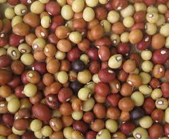 Pin On Farmaroc Business Profile Pics