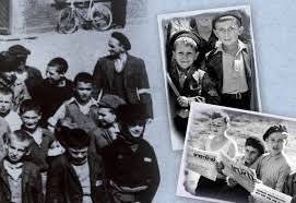 .la faillite de la shoah par gaz qui pousse les historiens à privilégier de plus en plus la shoah i. Grim7ekkepjham
