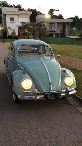 Beetle 1200 Pinterest