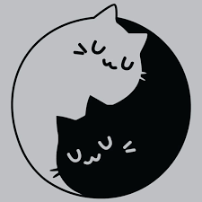 Yin Yang Cats T Shirt Blog Gatos Niedliche Zeichnungen Malen Und Zeichnen Katzen Kunst