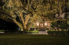 Garden Lighting Outdoor Illumination