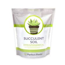 I always have some kind of potting project going i get asked 1 of these questions every month or 2 and wanted to answer them here. Cactus Succulent Soil For Sale Best Soil For Succulents Perfect Plants