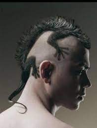 Lizard Mohawk Haircut Design Lizard Haircut Crazy Hair Creative Hairstyles