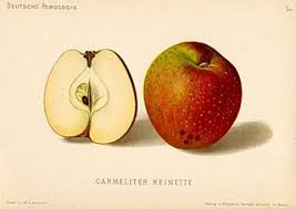 We did not find results for: Hcg Phase 2 Kimchi Hcg Phase 2 Recipes