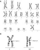 Image result