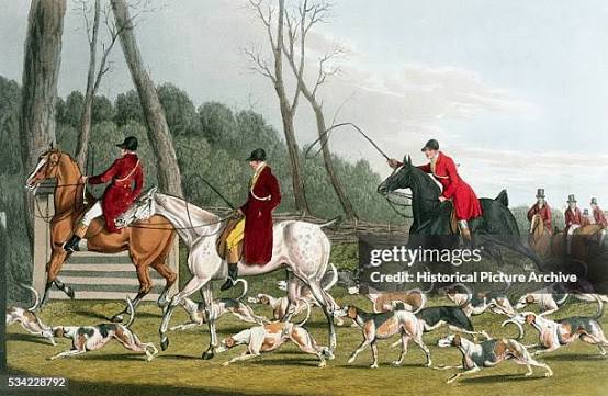 111 Fox Hunt Around 1900 Stock Photos, High-Res Pictures, and Images - Getty Images