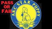 Maybe you would like to learn more about one of these? Akc S T A R Puppy Program Youtube