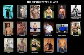 image result for ottermode body chart mens body types