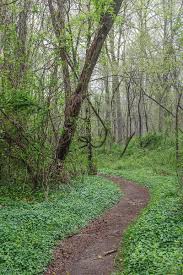 The hereford area, the torrey c brown trail, sweet air area. Gunpowder Falls State Park Maryland Trail Hike Hiking Forest Path Trees Landscape Photogra Hiking Photography State Parks Beautiful Photography Nature