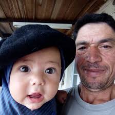 Pandulces y panettones disponibles con envíos gratis