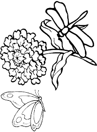 Amazon.com books has the world's largest selection of new and used titles to suit any reader's tastes. Dragonflies Coloring Pages Coloring Home