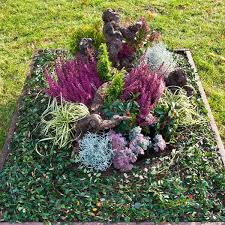 Herbst Mit Wurzeln Grabbepflanzung Bepflanzung Pflanzen