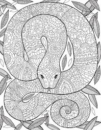 Snakes are commonly called the scaled reptiles belonging to the suborder serpentes. Pin By Sonia Perez Sanchez On Impresos Snake Coloring Pages Coloring Pages Coloring Books