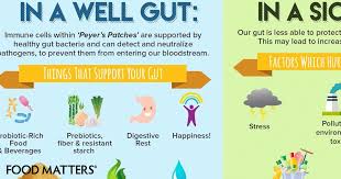 Hands Down The Most Effective Ways To Love Your Gut Infographic Infographic Health Food Infographic Healthy Gut Bacteria