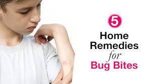 People have asked about how to get bug bites to stop itching, a lot, but most of the answers say use things like benedryl or afterbite, or something that you have to get at the store. 8 Home Remedies For Soothing Bug Bites Parents