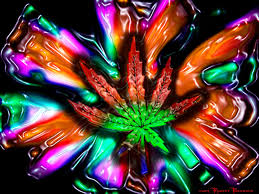 Weird Dreams After You Quit Smoking Marijuana Weed Wallpaper Full Hd 1016836 Hd Wallpaper Backgrounds Download Search, discover and share your favorite cartoon smoking gifs. weird dreams after you quit smoking