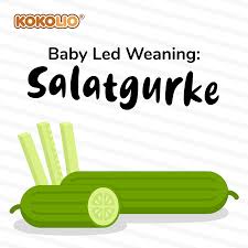 blw food fur babys heute prasentieren wir gurke wann kann gurke angeboten werden ab circa dem 9 monat besucht baby led weaning baby rezepte kleinkind