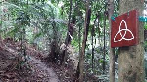 Hiking at kota damansara community forest reserve(kdcf)/hutan simpan kota damandara today early in the morning ( 7th april 2018), went to hiking/ climbing at hutan simpan kota damansara. Mohd Faiz Bin Abdul Manan Taman Eko Rimba Kota Damansara