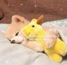 Goodnight Cute Love Memes Goodnight Cute Cartoon Memes
