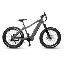 Bike can move from side to side. 2020 Apex Electric Mountain Bike Quietkat