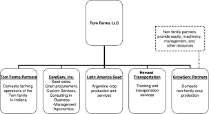 Llc Structure Chart Jasonkellyphoto Co