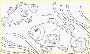 Check spelling or type a new query. 9999 Sketsa Gambar Ikan Hias Tawar Laut Lengkap Nemo Hiu Paus Lele Koi Mas Lumba Dll Sindunesia