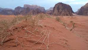 Wadi rum (arabă وادي رم‎ ) cunoscut și ca valea lunii (arabă وادي القمر‎), este o vale în nisipul și granitul din sudul iordaniei, la 60 de kilometri de. Wildlife Of Jordan Wikipedia