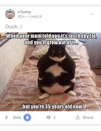 Cat Meme From 2006 Check Overused Joke Check Impact Font Check Irrelevant Title Check Fun Funny Funny Memes Funny Pictures Funny Photos Funny Memes