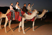 Follow that camel (1967) online. Season Adventures Tourism