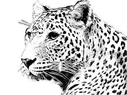 2048 x 1536 · jpeg. Ausmalen Ausmalbilder Katzen