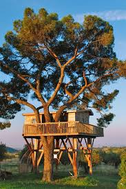 335 604 9630 vivi un'esperienza unica nella natura agriturismo la piantata b&b situato ad arlena di castro (viterbo), immerso nel verde della maremma laziale. 14 Case Sull Albero In Cui Dormire In Italia Dove Sono E Come Prenotarle Luoghi Da Vedere