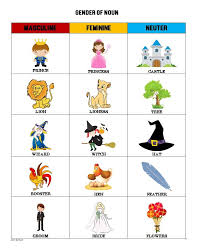 Gender Of The Noun Masculine Feminine And Neuter Sample School Projects High School Project Teaching Grammar