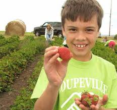 2017 COMMUNITY REPORT