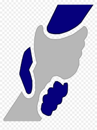 West Side Helping Hand Clipart Png Download Help Hand Logo Png Transparent Png Vhv Including transparent png clip art, cartoon, icon, logo, silhouette, watercolors, outlines, etc. west side helping hand clipart png