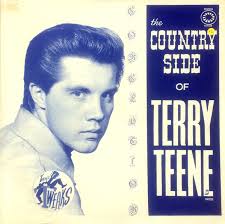 Terry Teen Discography: Vinyl, CDs, & More