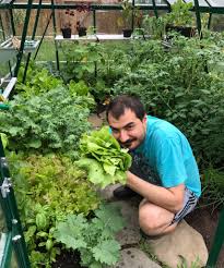Rania Morosan On Twitter Home Grown Vegetables Grow Your Own Food Homegrown