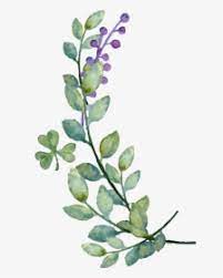 We did not find results for: Watercolor Leaves Png Images Free Transparent Watercolor Leaves Download Kindpng