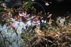 Results tagged “エクトラ” from 新地のドゥルーズ